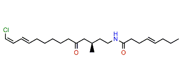 (1Z)-Pitiamide B